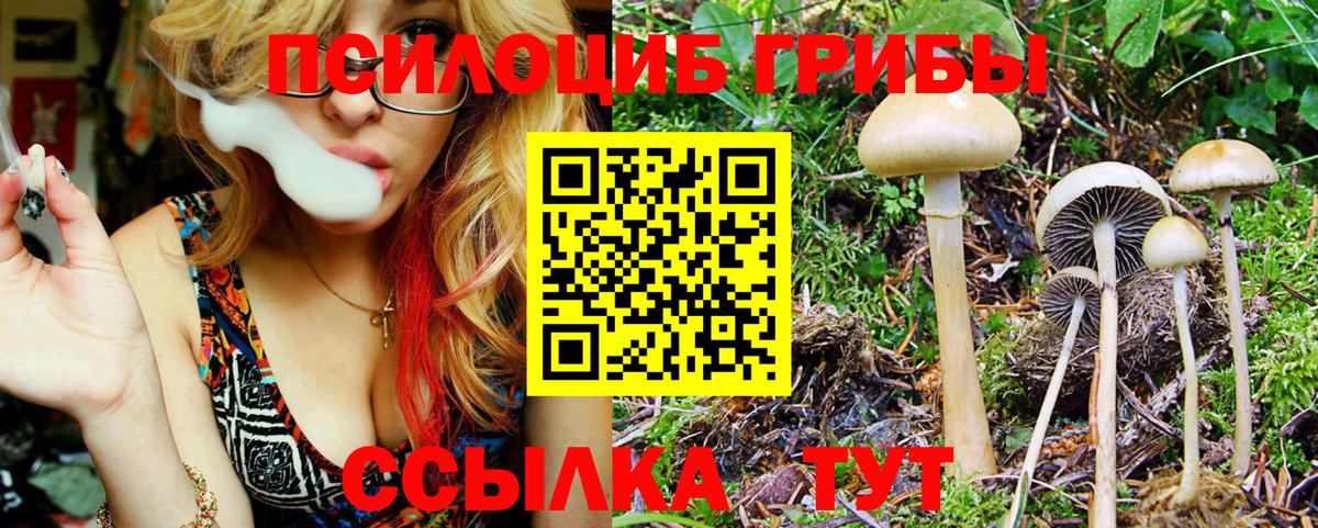 Галлюциногенные грибы MAGIC MUSHROOMS  как найти   Коммунар  Вход с VPN 